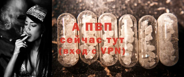 стафф Абдулино